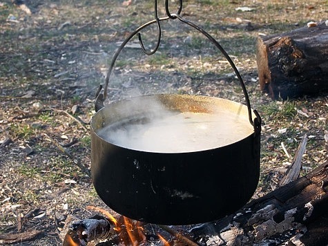 Изображение Самарские грибники радуются обилию весенних сморчков