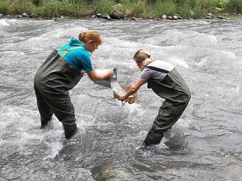 Изображение Первые итоги работы ученых на водных объектах Северного Кавказа