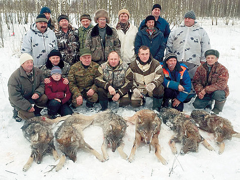 Изображение Идет борьба с волками в Калужской области