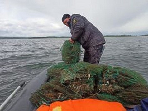 Изображение Сети собирают в водоемах и отнимают у браконьеров