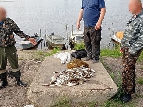 Изображение С потеплением браконьеры полезли в воду с бреднем