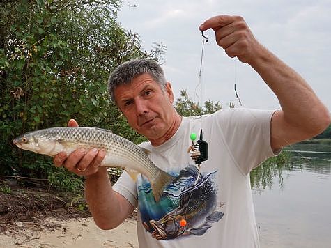 Рыбалка на Черном море: ловля пеленгаса Пеленгас: что за рыба, снасти для ловли в Азовском море, фото, видео, как ловить?