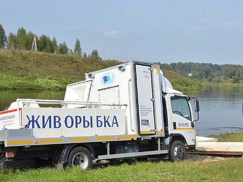 Изображение Река Кавказа пополняются каспийским лососем