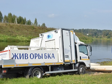 Изображение Река Кавказа пополняются каспийским лососем