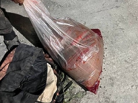 Изображение Рыбоохрана обнаружила 37 кг красной икры в автомашине