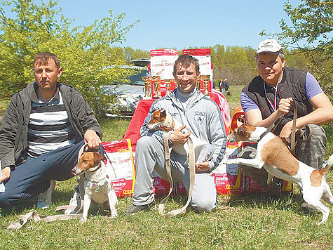 Изображение В Ставрополе состоялась 6-я окружная выставка охотничьих собак