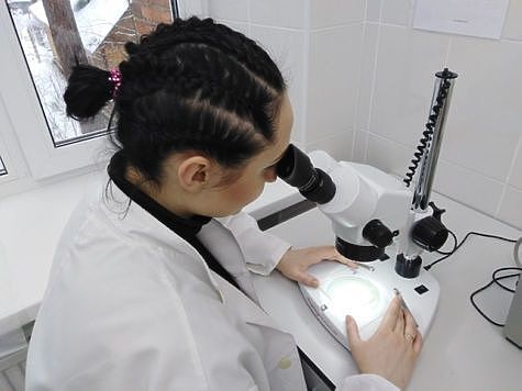 Изображение Ученые думают над гибелью лосося на зимовках