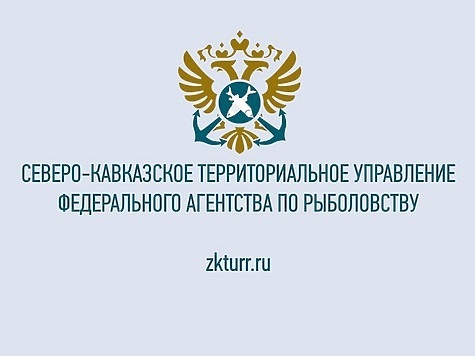 Изображение Показатели работы северо-кавказской рыбоохраны