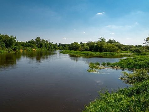 Изображение Подмосковную Клязьму будут чистить