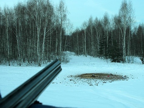 Изображение Егерь отказал в обещанной охоте за 10 тонн печенья