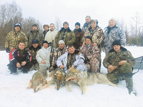 Изображение Фатьяновские охотники провели облаву на волков