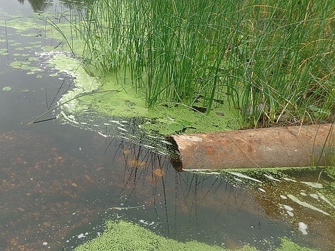 Изображение Грязные воды в Мологу сбрасывают коммунальщики