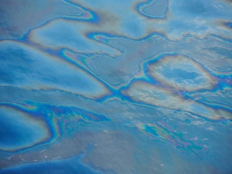 Изображение Разлив нефти обошелся в 120 миллионов