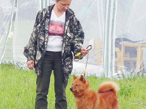 Изображение Итоги XII Всероссийской выставки охотничьих собак