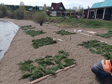 Изображение Рыбам установили гнезда