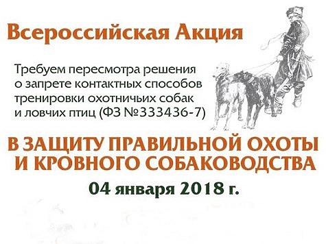 Изображение Всероссийская протестная акция: защитим правильную охоту