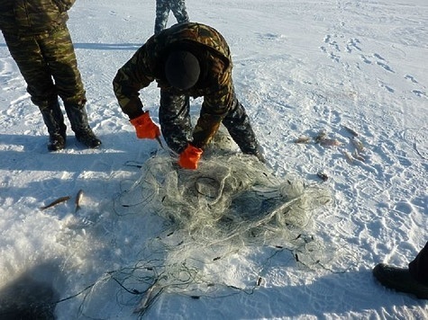 Изображение Из озер Карелии извлекают браконьерские сети