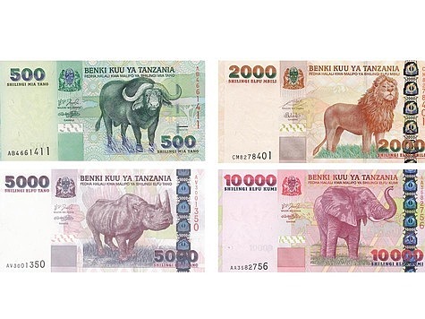 Изображение Большая пятерка на африканских банкнотах