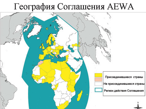 Изображение AEWA: мифы и реальность