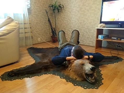 Изображение За добытого волка и медведя выплачивают двадцать тысяч рублей
