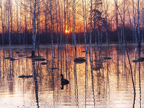 Изображение Нижегородские рассветы и закаты