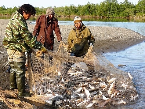 Изображение Попытка получить квоту коренного жителя не удалась 