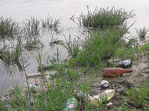 Изображение В Тверской области очистили более 70 километров берегов 