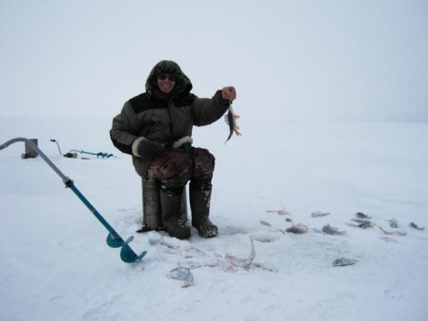 Какая сейчас рыбалка. Диалоги о рыбалке зима. Рыбак зимой на окуня в лунке. Рыбацкие забавы. Рыбалка рыболов Элит.