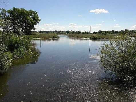 Изображение В Белгородской области приступили к восстановлению реки Разумной