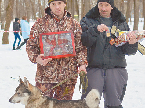 Изображение В Вологде прошла областная выставка охотничьих собак
