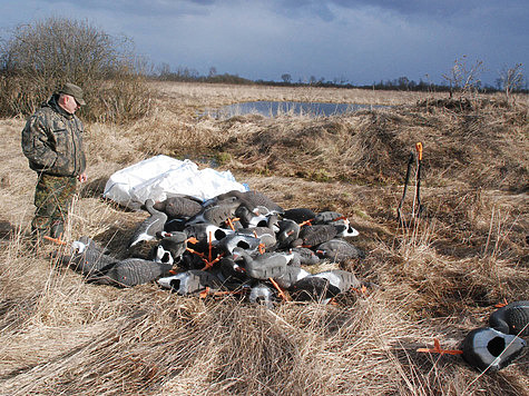 Изображение Алтайские охотники готовятся к охоте на гусей с медведями