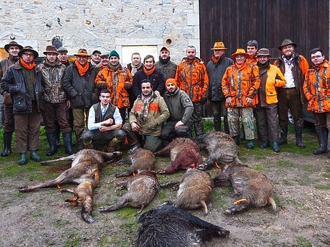 Изображение Вологодская область проведет охотничий фестиваль