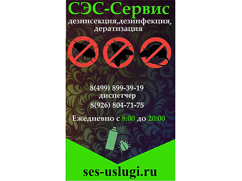 Изображение Охота на насекомых дома и в квартире
