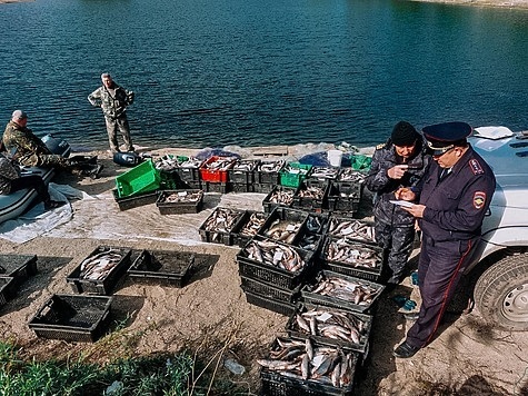 Изображение Челябинские браконьеры ставят рекорды