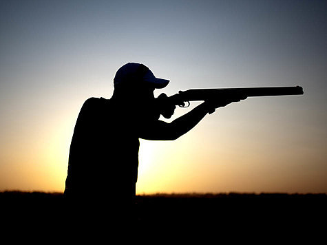 Изображение Омич застрелил лебедя из ружья