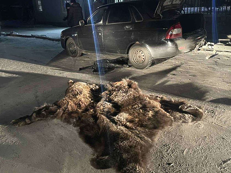 Изображение Инспекторы ДПС выявили незаконную добычу медведя