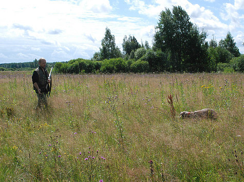 Изображение В минприроды Омской области рассказали о нововведениях в региональных правилах охоты