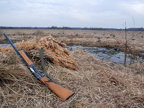 Изображение Белорусским охотникам напомнили тонкости новых правил весенней охоты