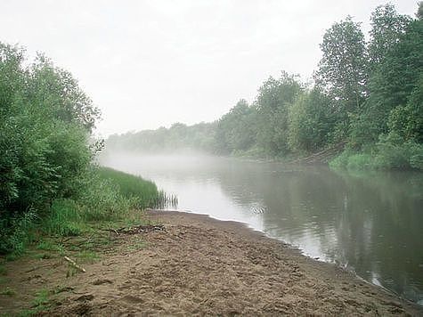 Изображение Горняки зарыбляют Енисей осетром