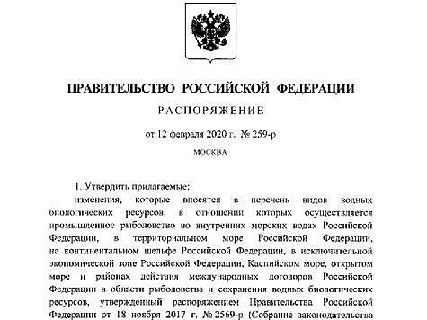 Изображение На прилавках появятся новые рыбы