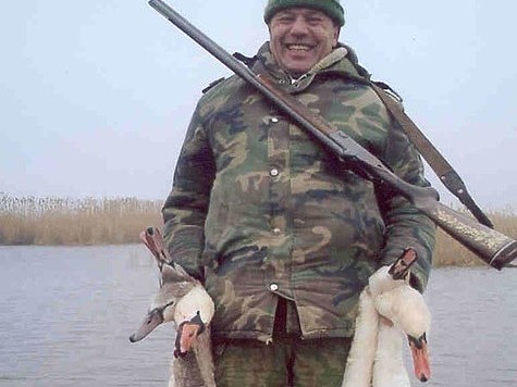 Изображение На стаю лебедей в Сызрани открыли охоту голодные хищники