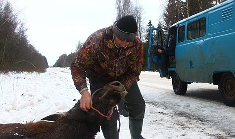 Изображение В Тверской области пытаются найти браконьеров