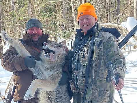 Изображение Нижегородским охотникам предлагают 35 тысяч рублей за добытого волка