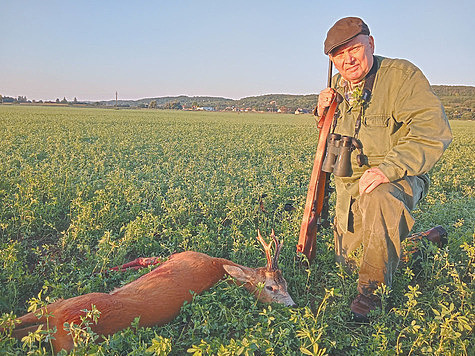 Изображение Венгерским охотникам массво продавали лицензии на косулю
