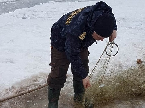 Изображение Сводка Волжско-Каспийской рыбоохраны