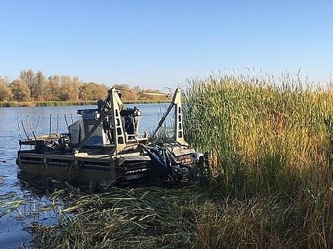 Изображение В Саратовской области расчистили Волгоградское водохранилище