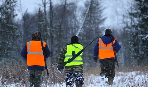 Изображение В Красноярском крае подвели итоги проведения рейдов по браконьерству