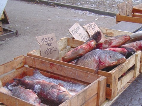 Изображение Остановлена торговля опасной рыбой
