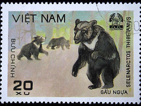 Изображение Животные на марках земской почты
