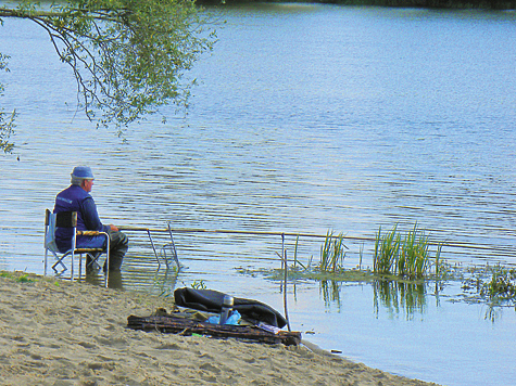 Изображение Густера стоячей воды